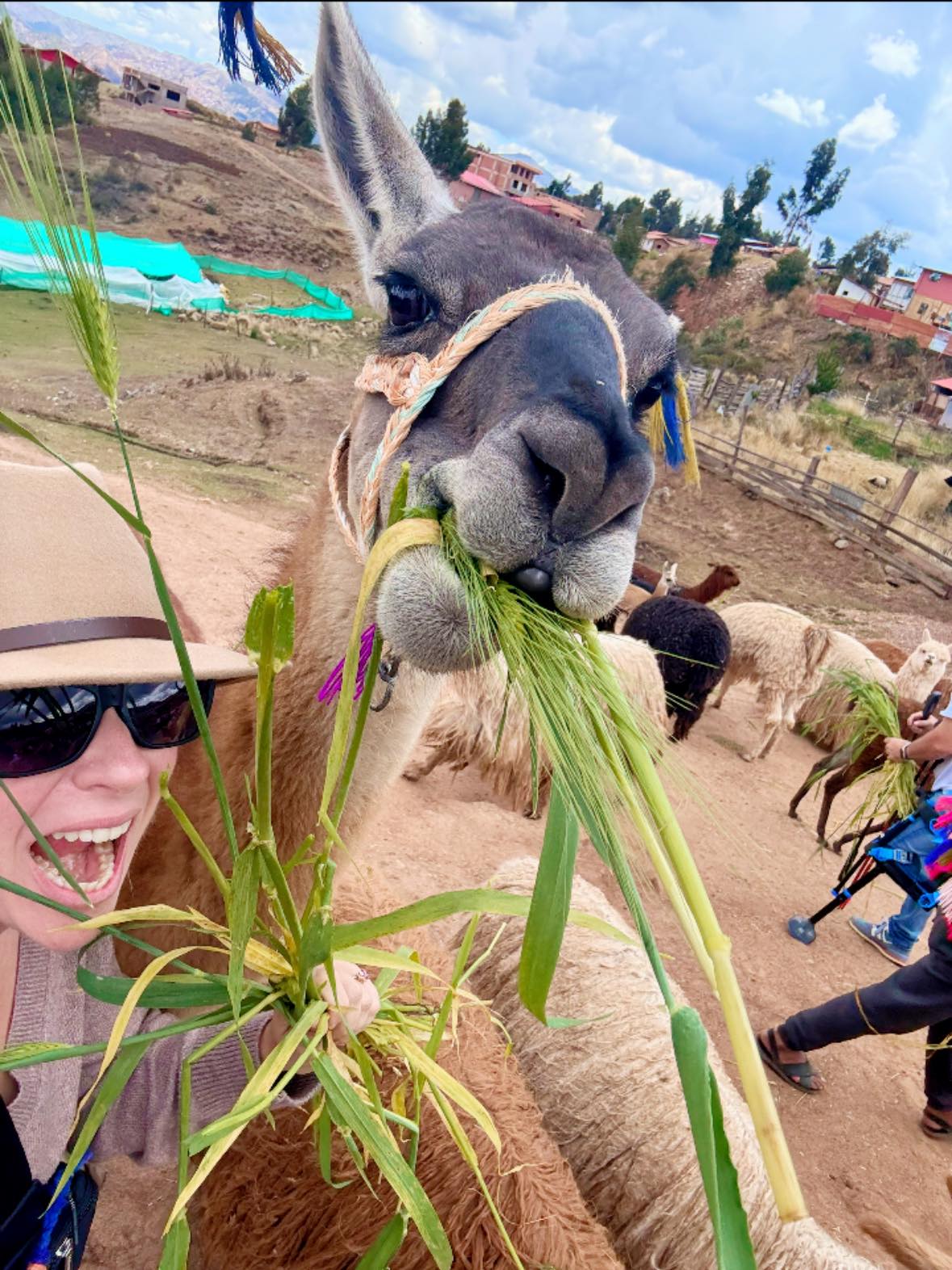 Michelle feeding a friendly llama in the Sacred Valley of Peru on an Adventures by Disney trip